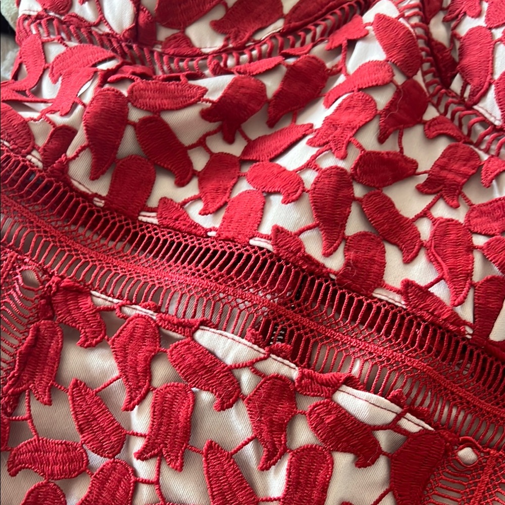 Just Me Red and Cream Lace Dress - Picture 6 of 6